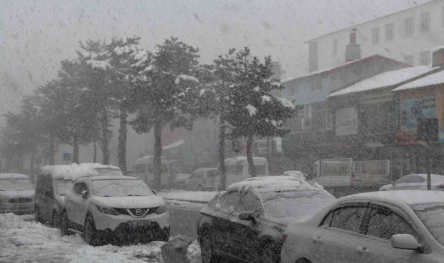 Tatvan'da kar yağışı