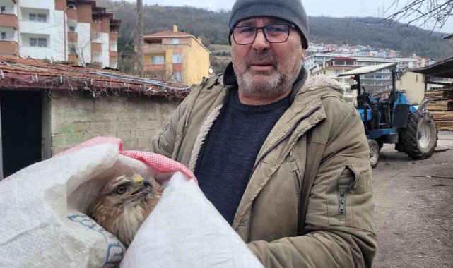 Tavuklarının yanında bulduğu yaralı şahini ekiplere teslim etti