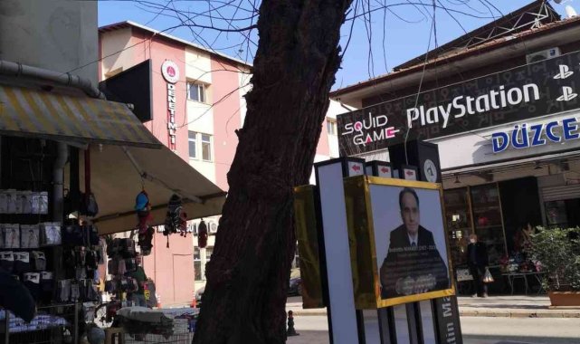 Tehlikeli ağaçlar kaldırılacak