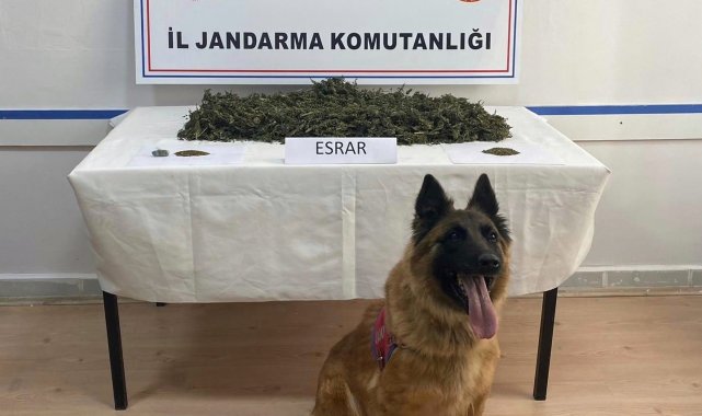 Tokat merkezli 3 ilde uyuşturucu operasyonu: 24 kişi gözaltı