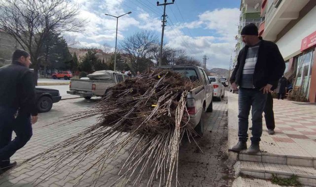 Tosya&#039;da çiftçiye yüzde 50 hibeli fidan dağıtıldı