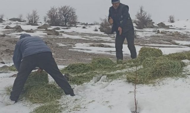 Tunceli&#039;de yaban hayvanları için doğaya yem bırakıldı