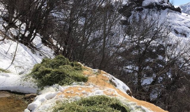 Tunceli'de yaban hayvanları için doğaya yem bırakıldı