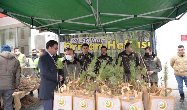 Türkeli'de vatandaşlara bin fidan dağıtıldı