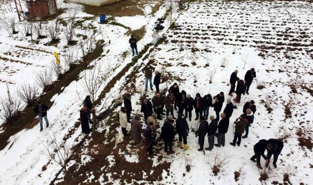 Türkiye'deki yaban mersininin üçte biri Bursa'da üretiliyor