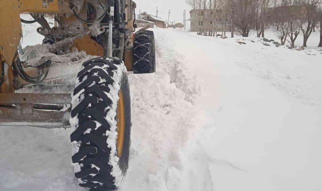 Tuşba Belediyesi'nden karla mücadele çalışması