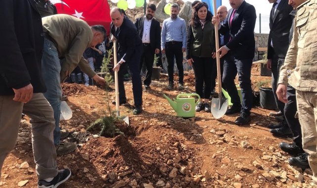 Tut&#039;ta fidanlar toprakla buluştu