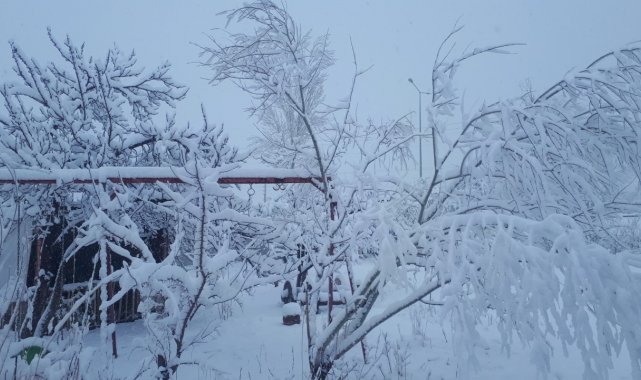 Tuzluca'da kar yağışı etkili oluyor