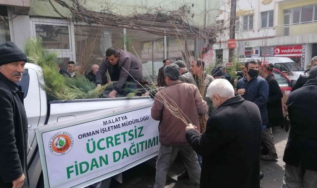 Ücretsiz fidana ilgi