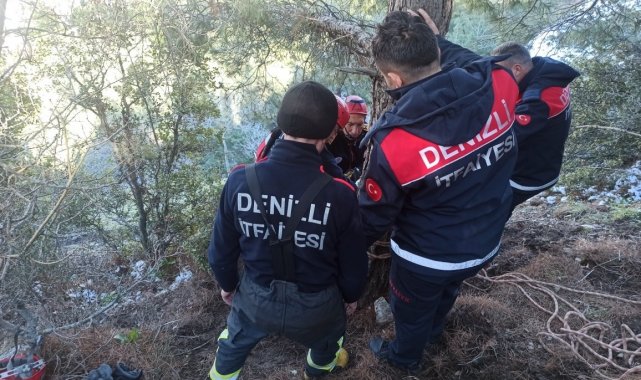 Uçurumda mahsur kalan 4 keçi kurtarıldı