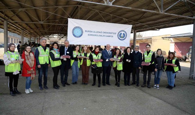 Uludağ Üniversitesi kampüsü tohum toplarıyla yeşermeye devam edecek