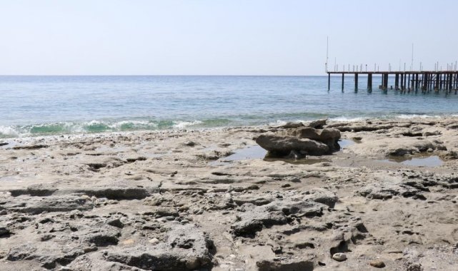 Ünlü profesörden deniz çekilmeleriyle ilgili rahatlatan açıklama