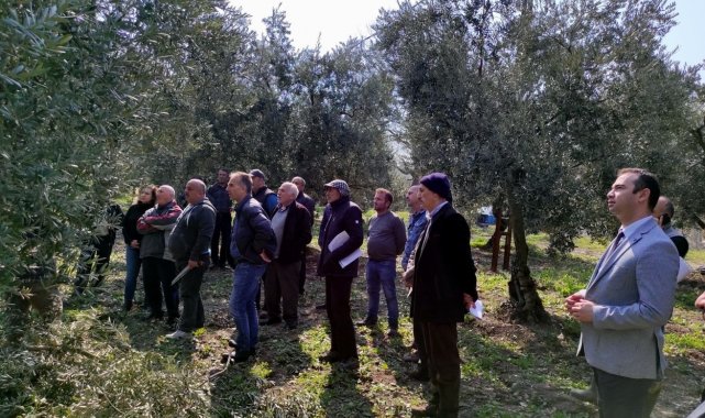 Üreticiye bahar öncesi budama eğitimi