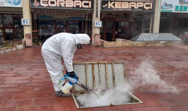 Ürgüp Belediyesinden haşerelere karşı kışlak mücadelesi