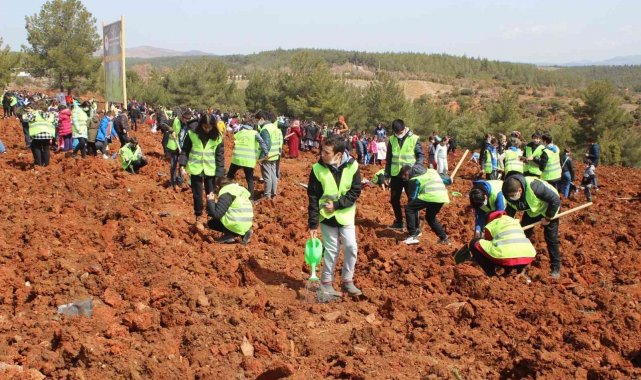 Uşak'ta yüzlerce öğrenci 3 bin 250 sedir fidanını toprakla buluştu