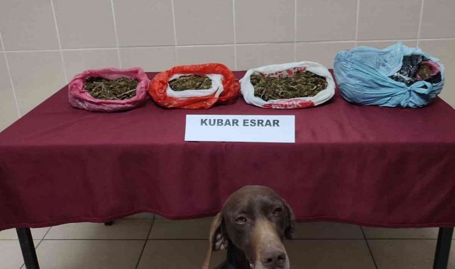 Uyuşturucu operasyonunda 4 şahıs gözaltına alındı