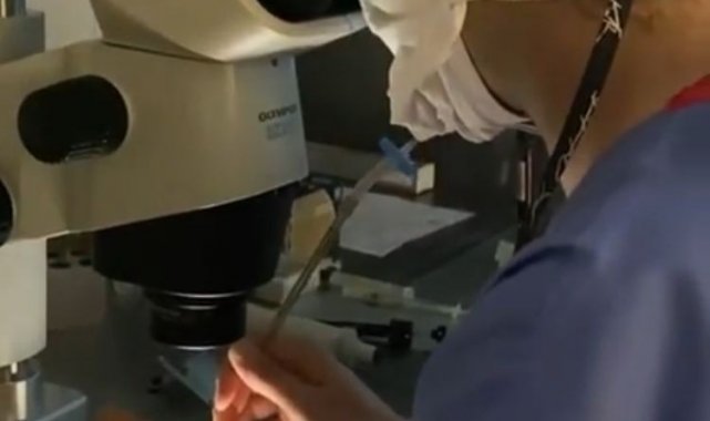 Uzmanlar bu defa sigaranın anne karnındaki çocuğa etkisini araştırdı