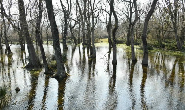 Vali Dağlı'dan Kuş Cenneti'ne davet: "Herkes bu doğal güzelliği görmeli"