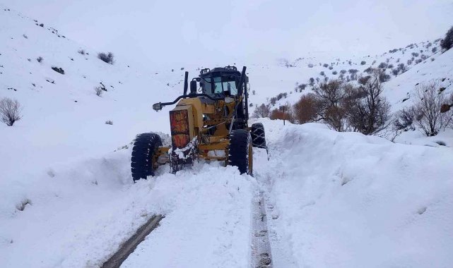 Van'da karla mücadele çalışması