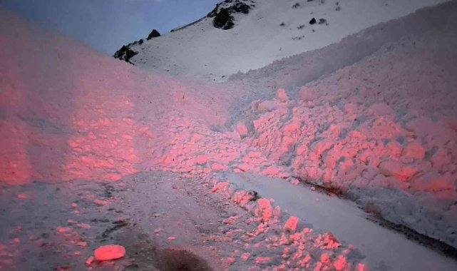 Van'ın Başkale ilçesinde yola çığ düştü