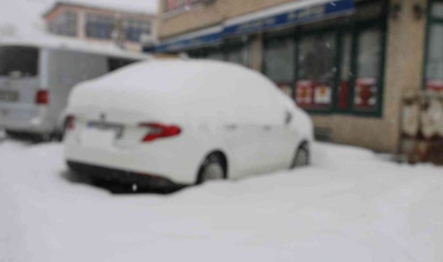 Varto'da 149 yerleşim yerinin yolu ulaşıma kapandı