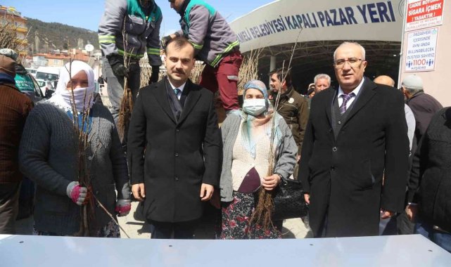 Vatandaşlara 9 bin adet aşılı ceviz fidanı dağıtıldı