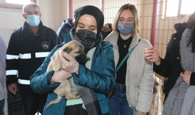 Veteriner Fakültesi öğrencilerinden Elazığ Belediyesi Hayvan Hastanesine tam not