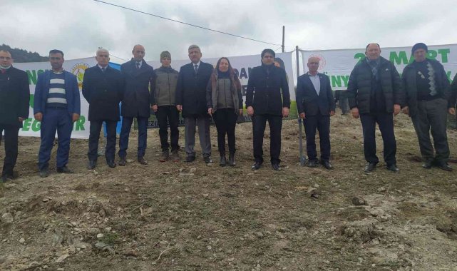 Vezirköprü'de 36 bin 950 fidan toprak ile buluşacak