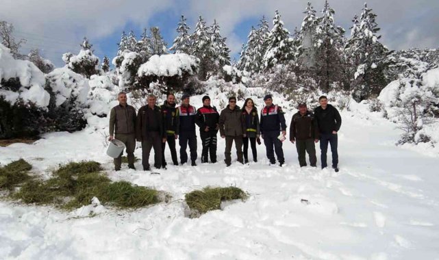 Yaban Hayatı gününde yaban hayata yem bıraktılar