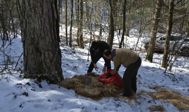 Yaban hayvanlar beslendi