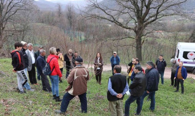 Yalova'da çiftçilere Trabzon hurması budama eğitimi