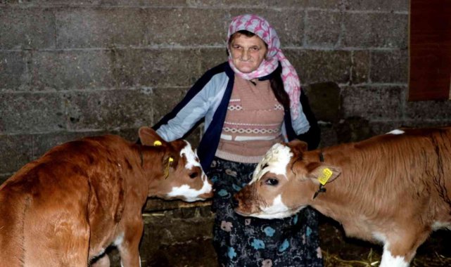 Yalova&#039;da Suni Tohumlama Projesi meyvelerini vermeye başladı