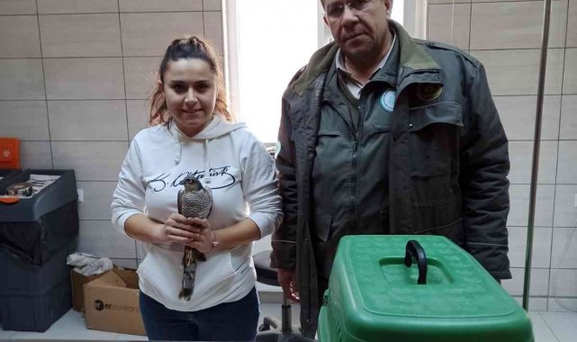 Yarılı halde bulunan leylek ve atmaca tedavi altına alındı