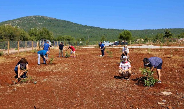 Yaşlı ve engelli vatandaşlar için ceviz bahçesi