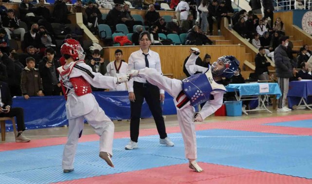 Yıldızlar Tekvando Grup Müsabakaları Karaman'da başladı