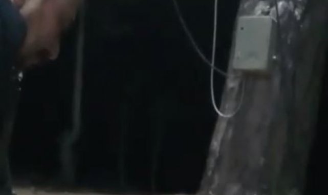 Yiyecek arayan tilkiyi elleriyle besleyip &quot;Köylü seni arıyor&quot; diye uyardı