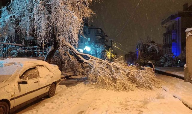 Yoğun kar yağışına dayanamayan ağaç dalları kırılarak anayolu kapattı