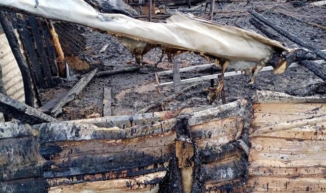 Yörük çadırında yangın çıktı, koyunları vatandaşlar kurtardı