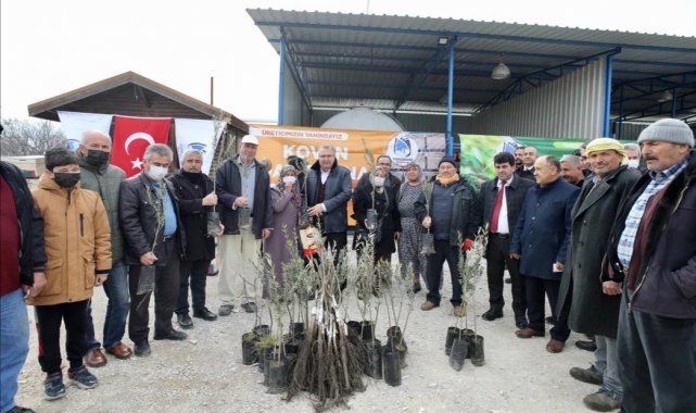 Yunusemre Belediyesinden üreticilere fidan ve kovan desteği