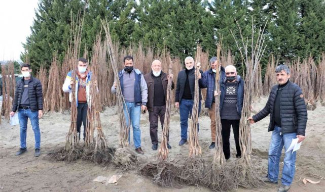Yüzde 50 hibeli fidan dağıtımı cuma günü sona erecek