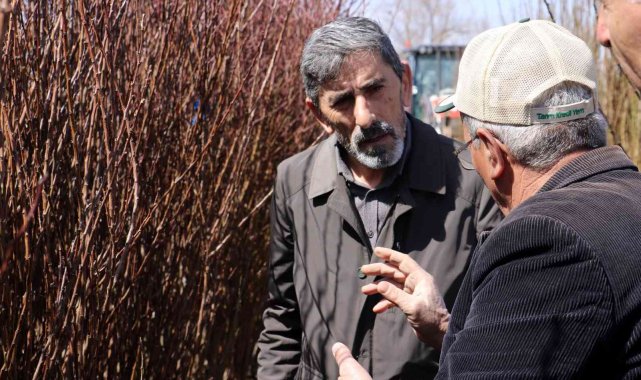 10 bin meyve fidan toprakla buluşacak