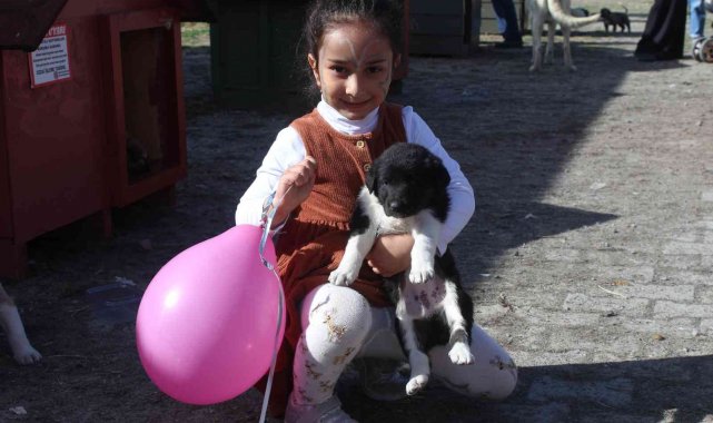 23 Nisan etkinlikleri çerçevesinde Anaokulu öğrencileri hayvan barınağını ziyaret etti
