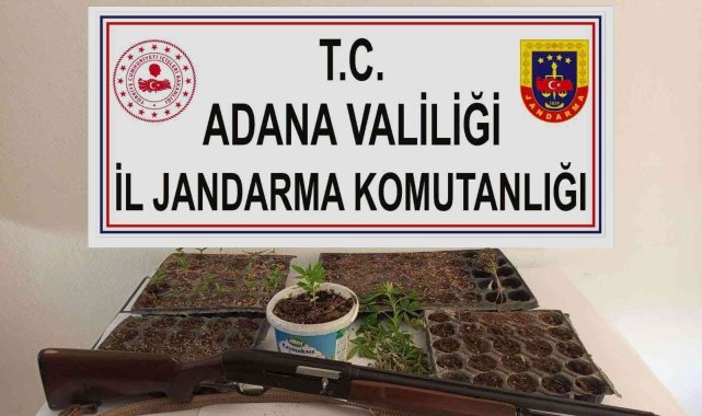 Adana'da kenevir eken 3 kişi yakalandı