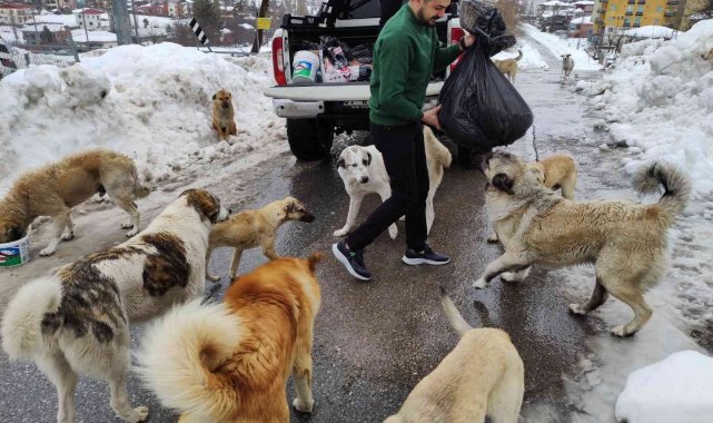Adanalı kebapçı sokak hayvanlarını unutmadı