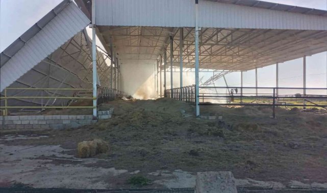 Adıyaman'da çiftlik yangını