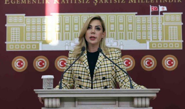 AK Parti Milletvekili Gökcan'dan 23 Nisan mesajı