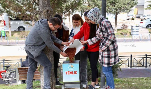 Aksaray'da sokak hayvanları için mama ve su bırakıldı