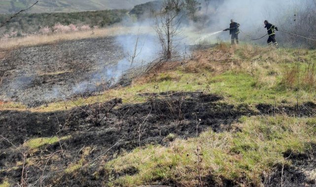 Altınova'da arazi yangını kısa sürede söndürüldü