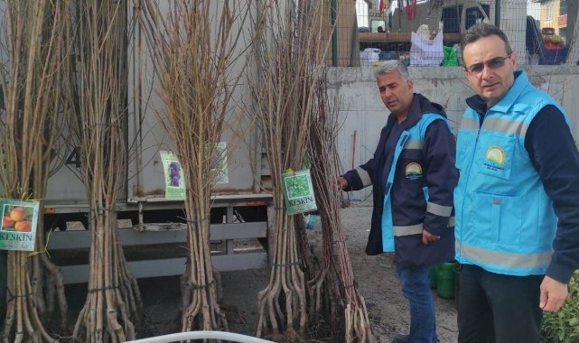 Altıntaş'ta fidan satışı kontrol ve denetimleri