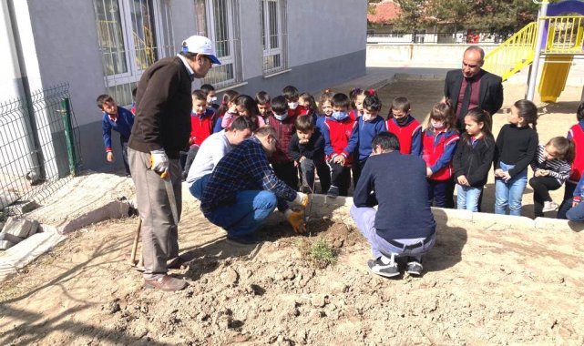 Altıntaş'ta öğrencilere ağaç budama eğitimi